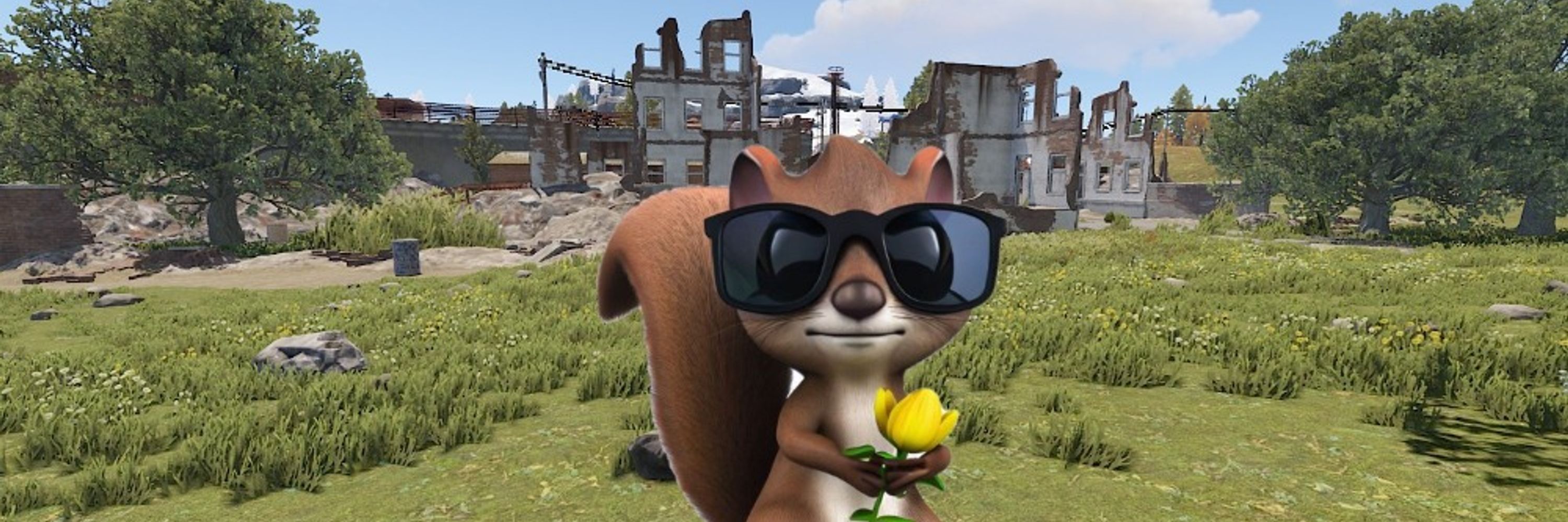 3BlindSquirrel