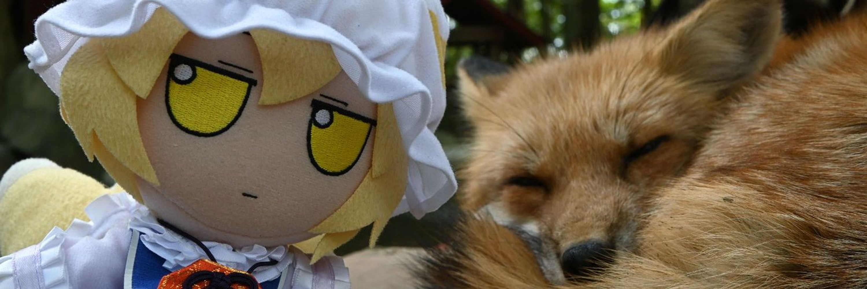 Mokacchi