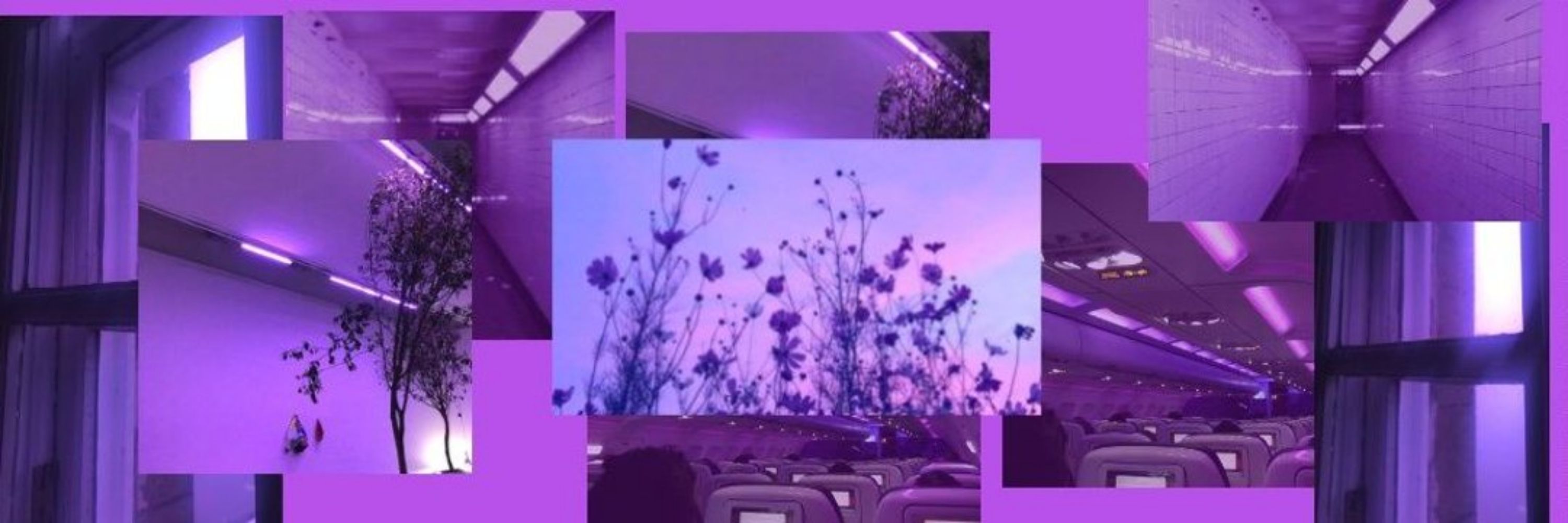 lidiane⁷