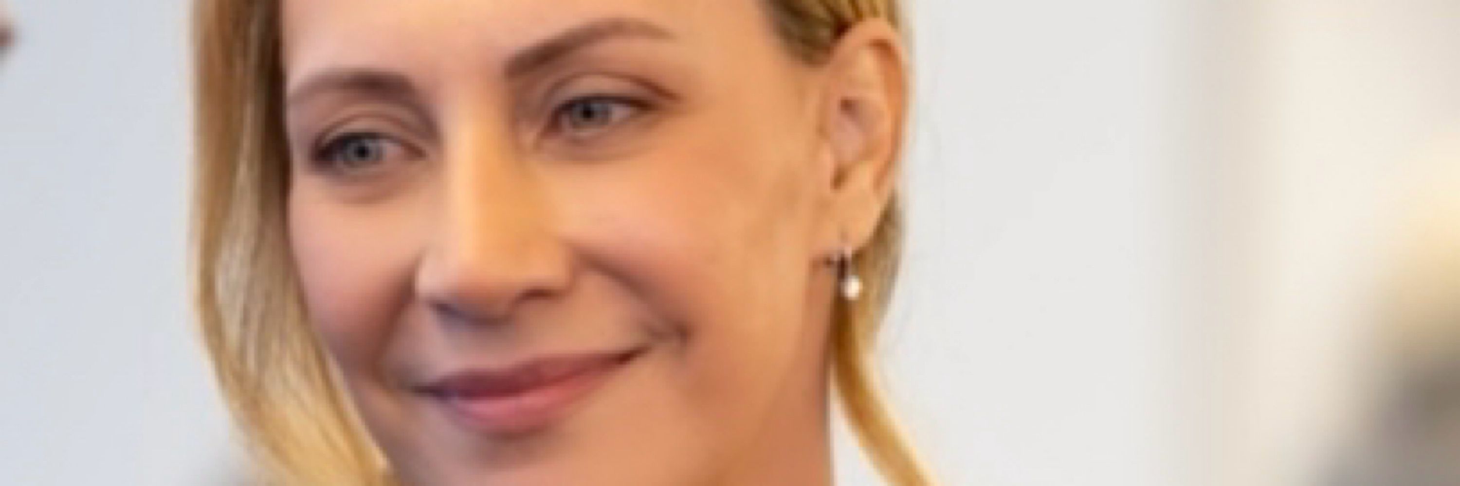 Dr Tracy Westerman AM