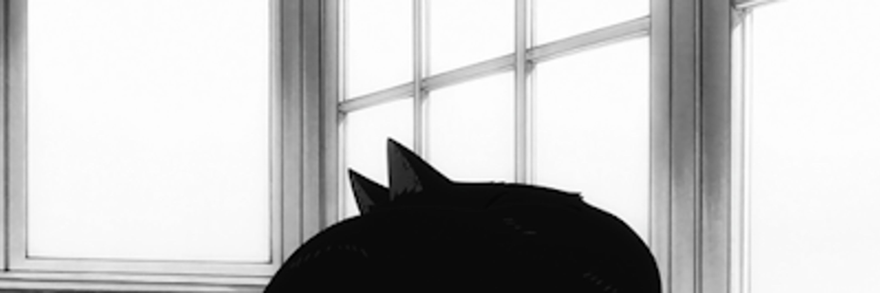 𝙎𝙤𝙥𝙝𝙞𝙖