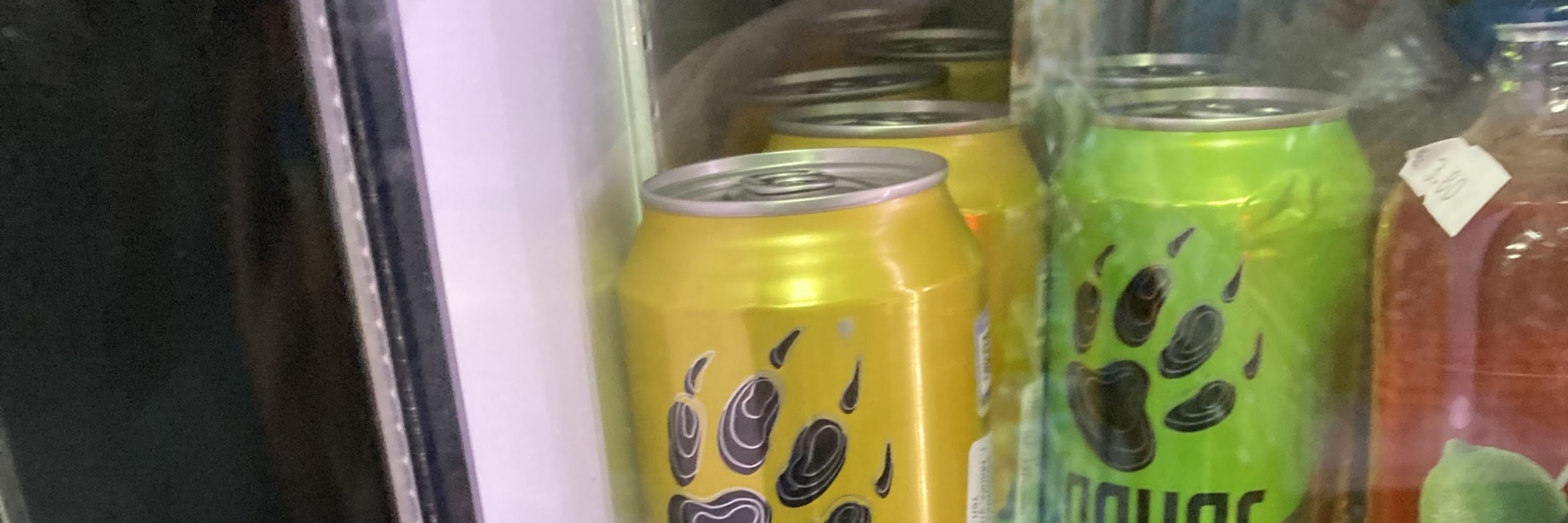 Сосисон