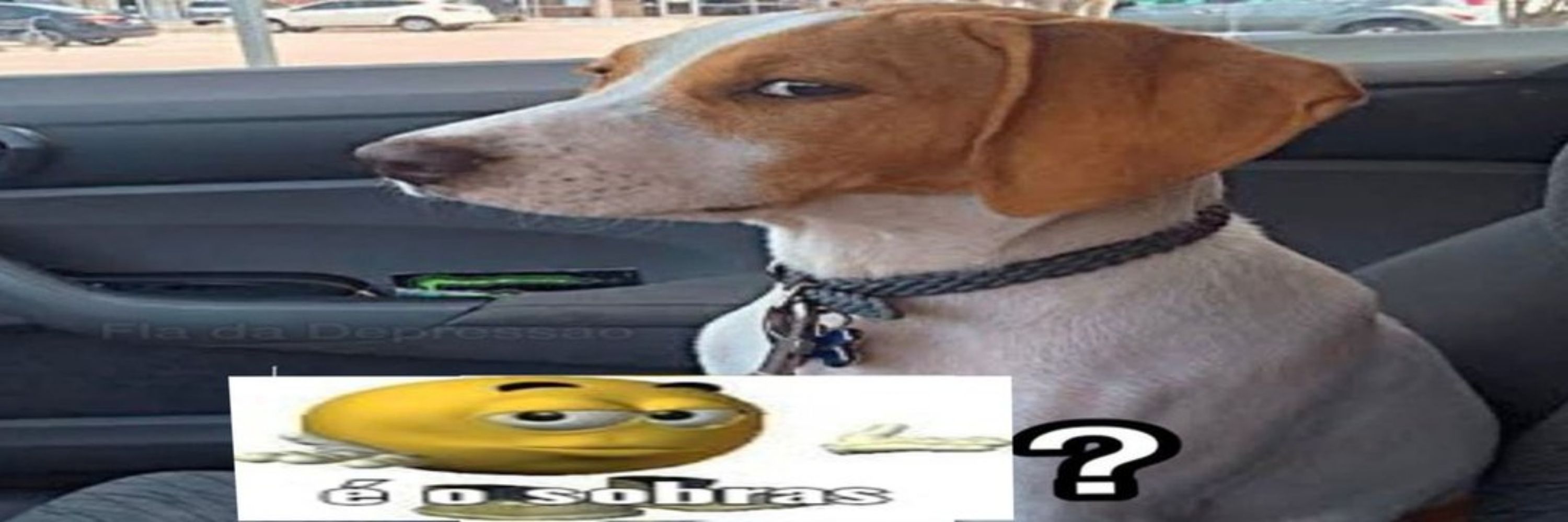 sobras