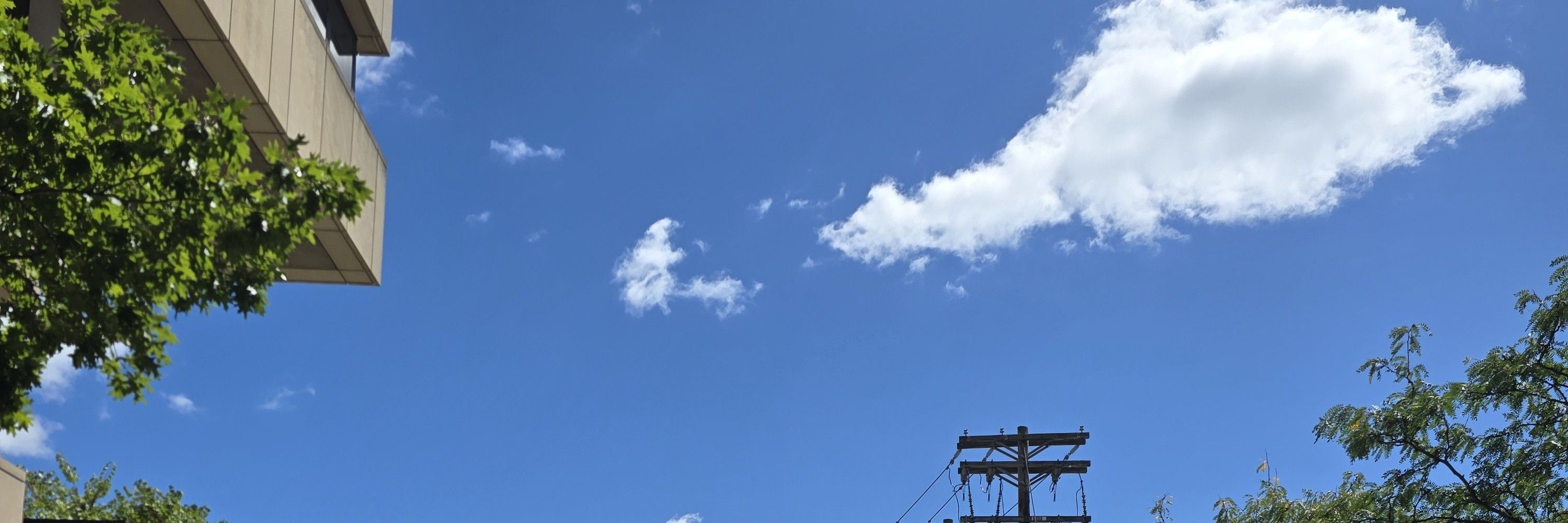 せおび