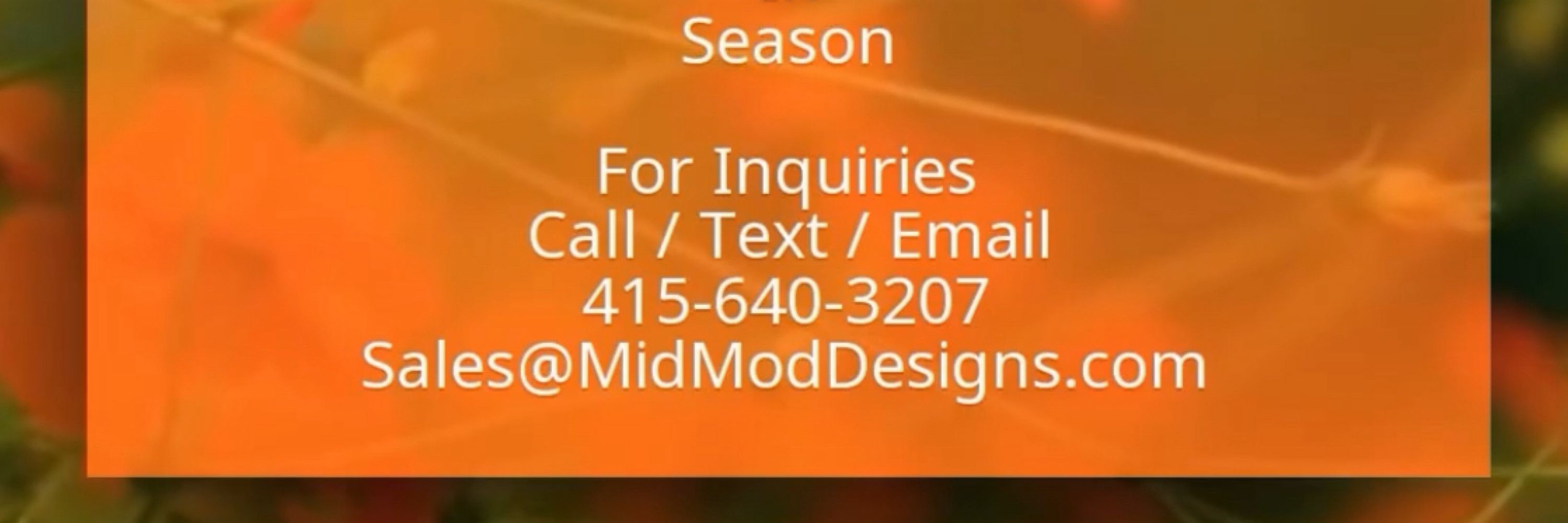 Moz@MidMod Designs