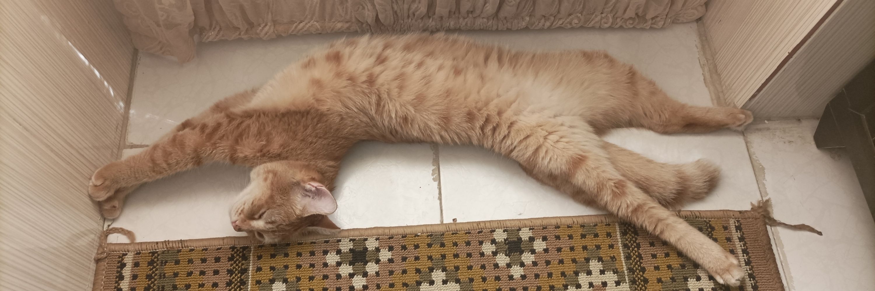 Sepideh