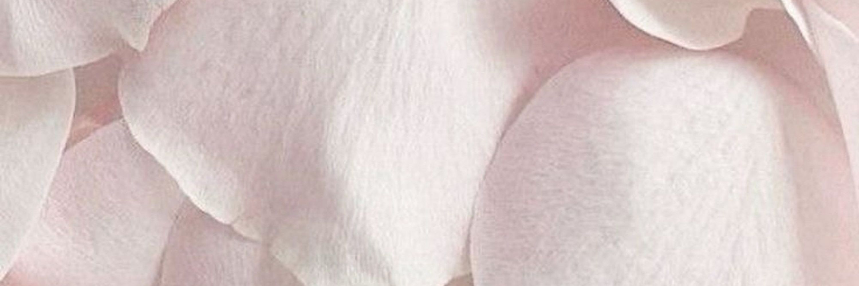 🍓🌸ႱᎥᎿᎿႱᏋ Ꭿ𐒐𐒐ᎥᏋ🌸🍓