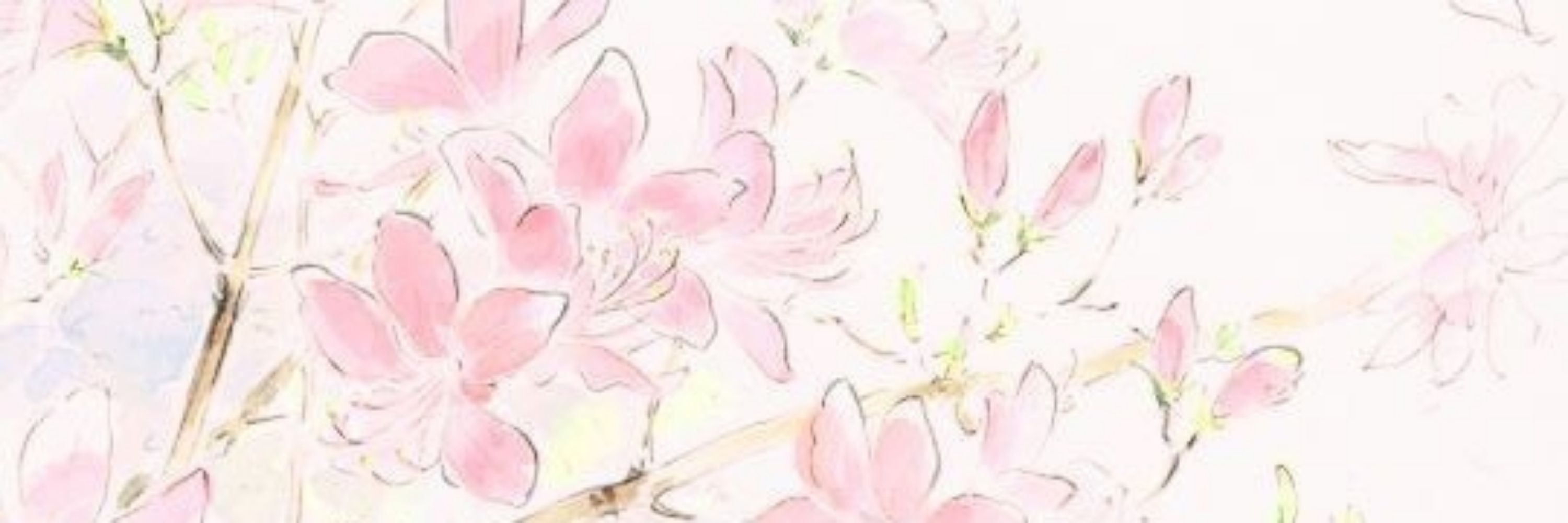 Claudeen⁷