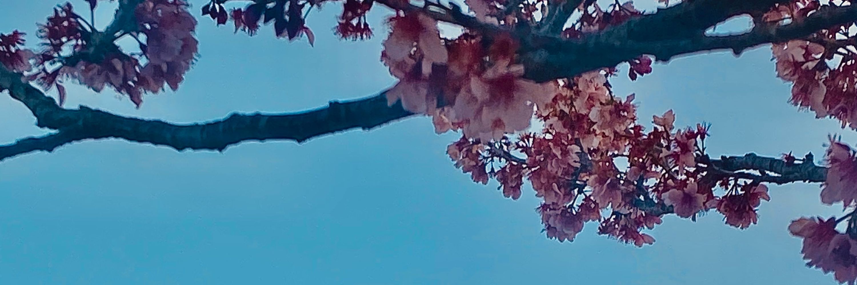 May 🦊