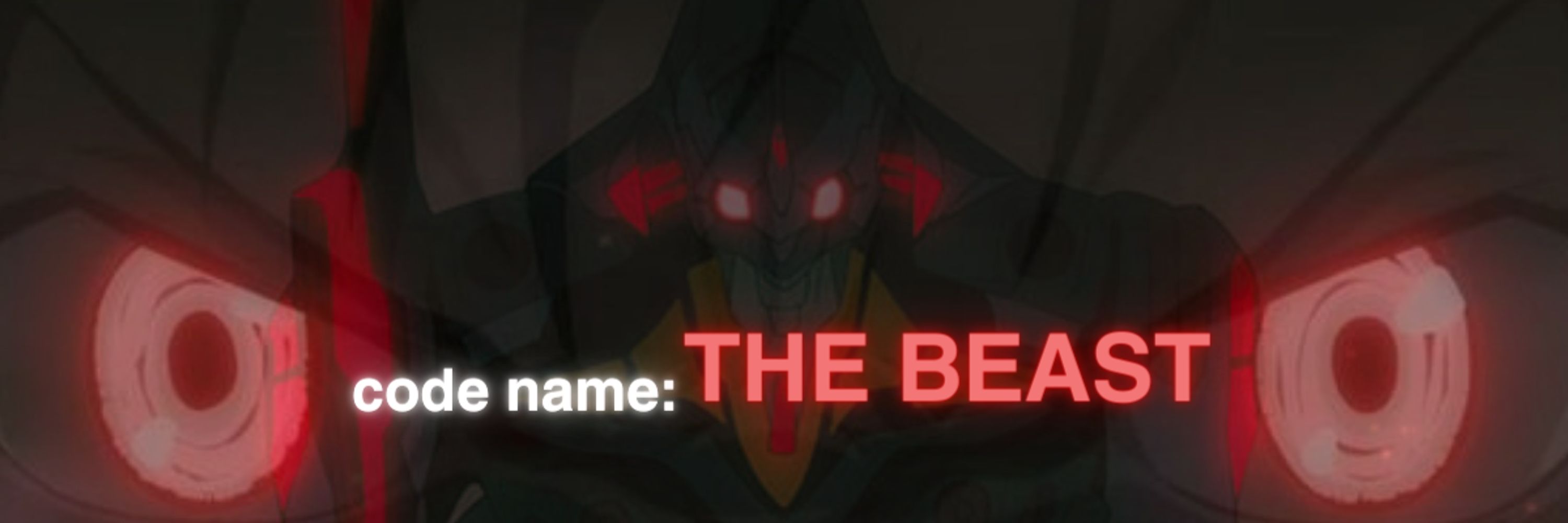 code name: THE BEAST
