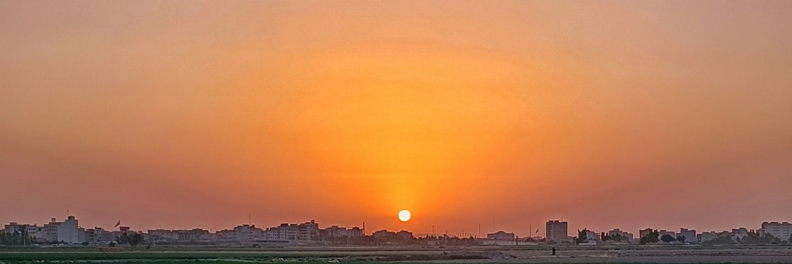 نبــاتی