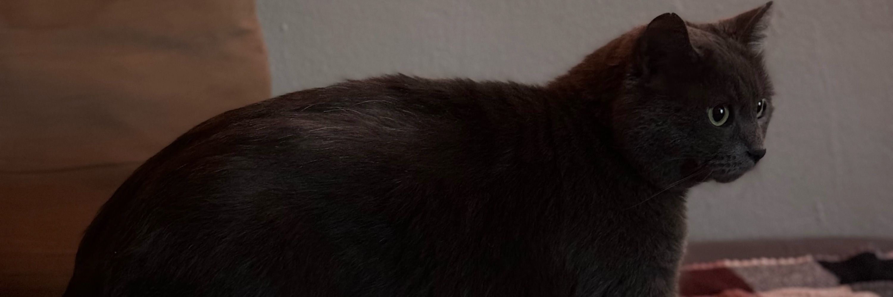 Tom
