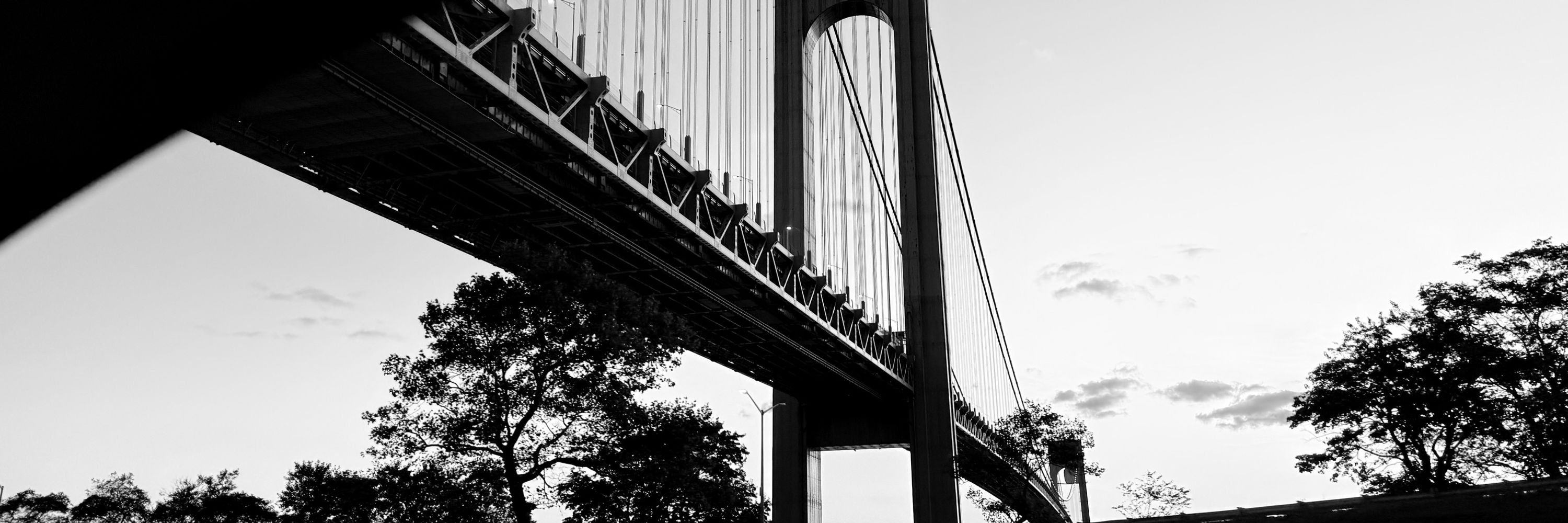 PlatyNYC