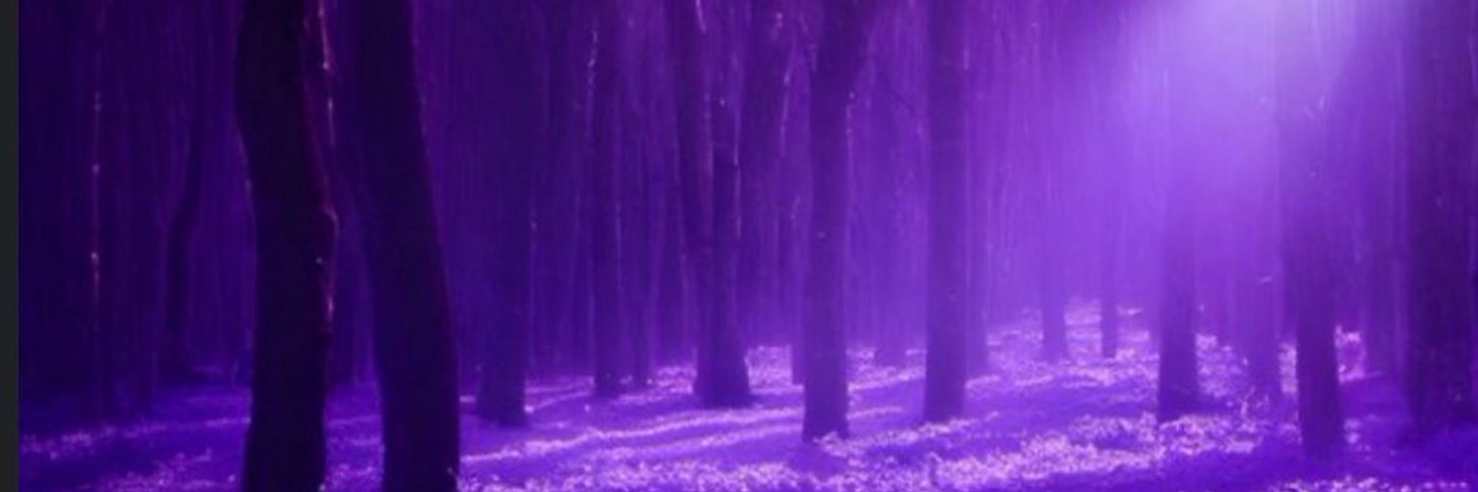 Aimee Amethyst