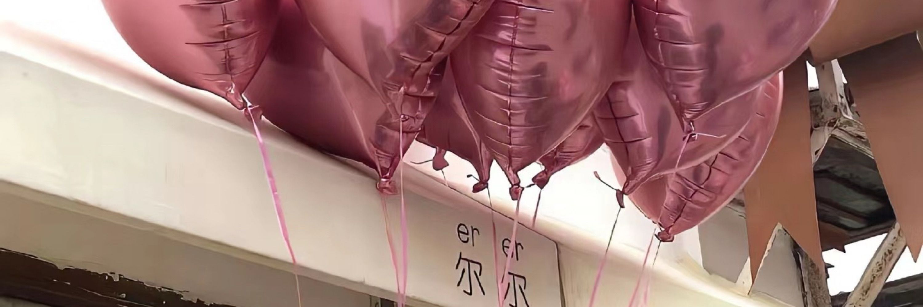 杭州 羊羊