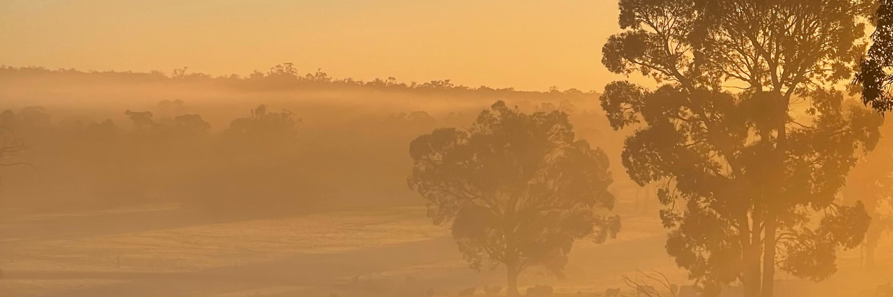 Mooringa farms