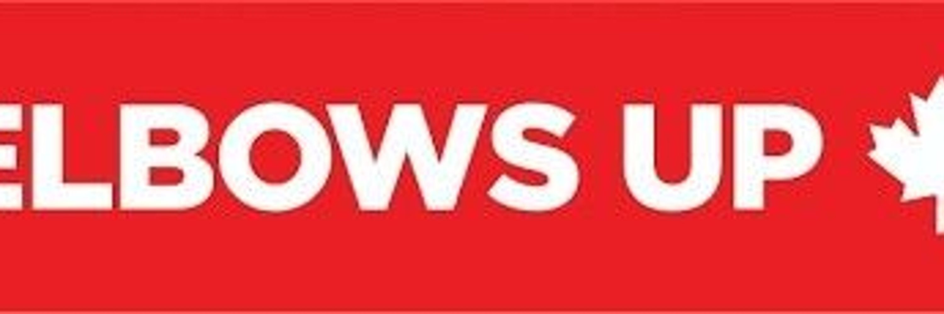 MyTwoDogs