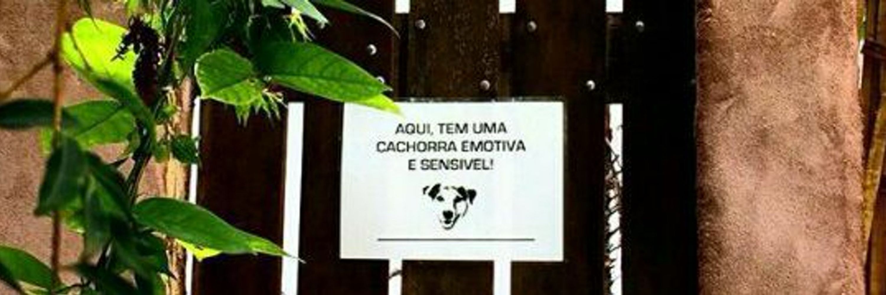 Adnês