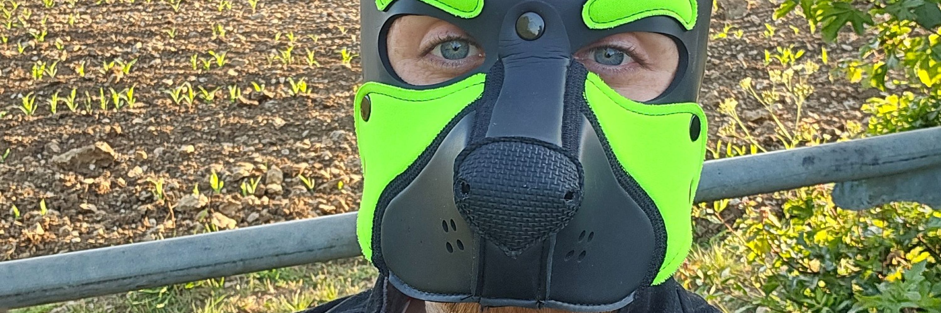 Pup Oswald