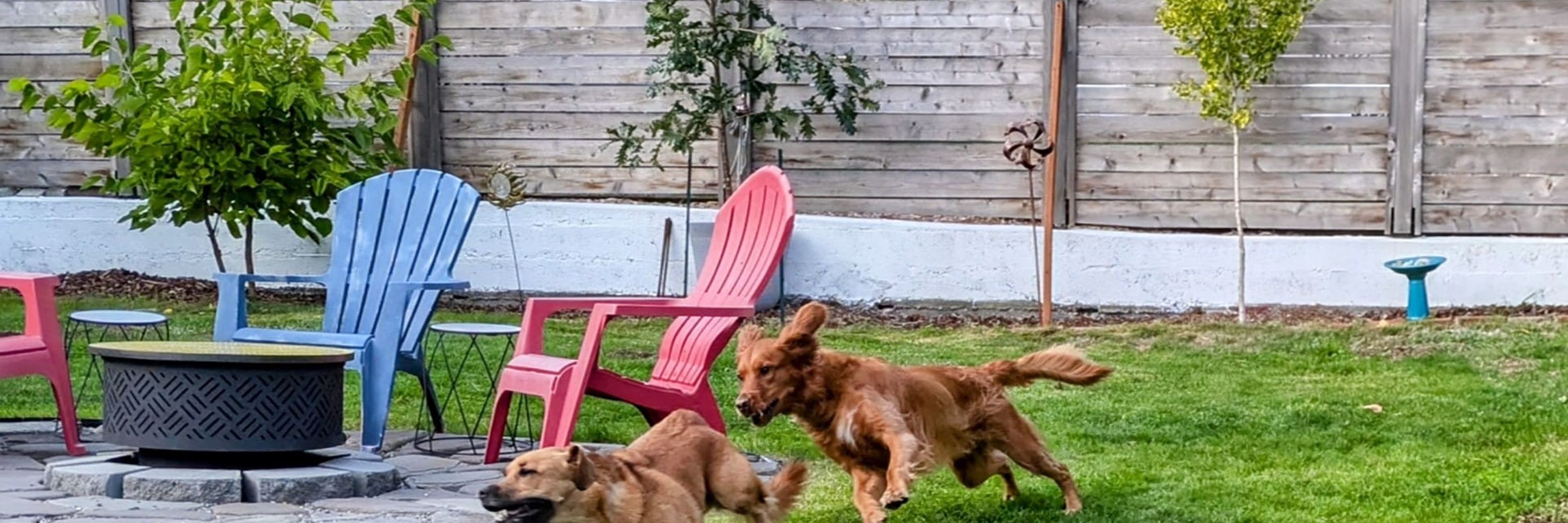 Zeus's Yard