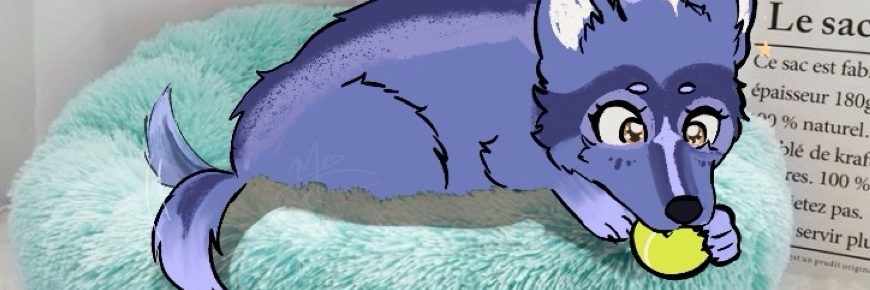 Blu_Moondoodle