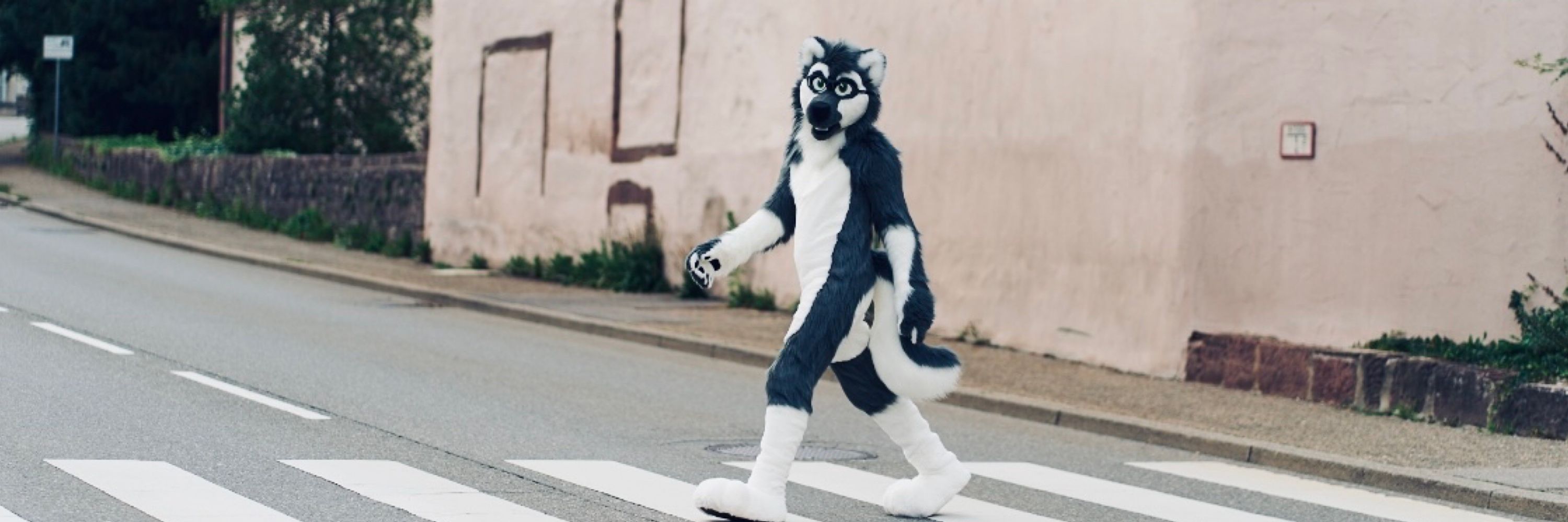 Foxle