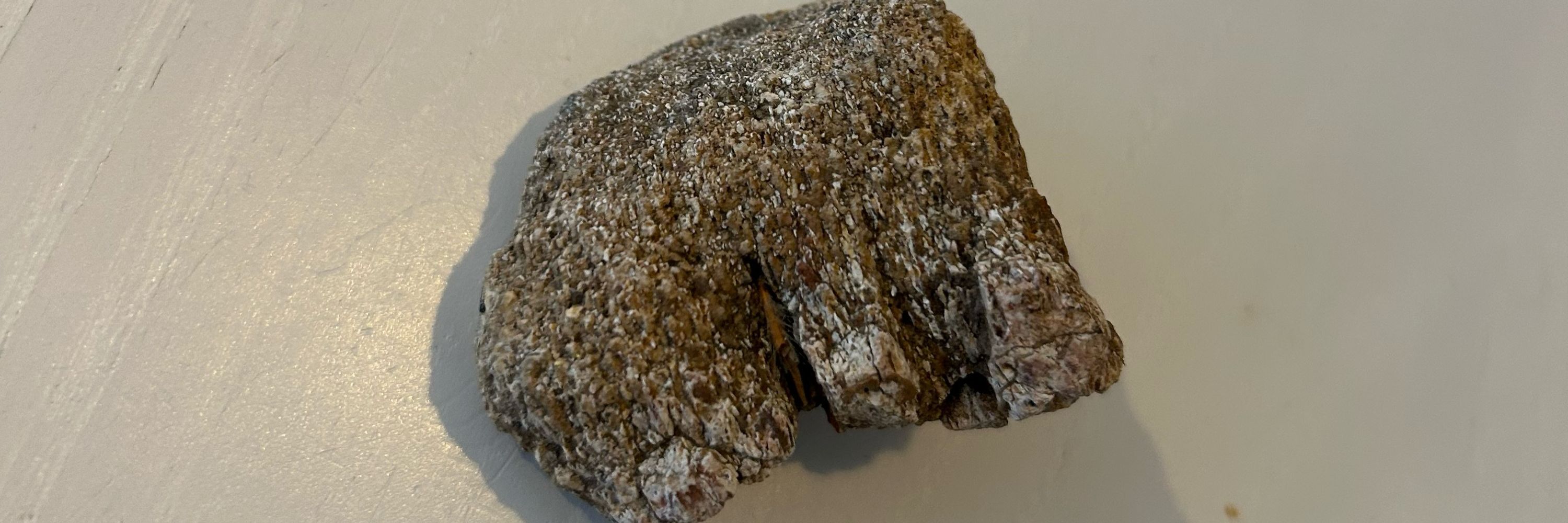 Mwalimu