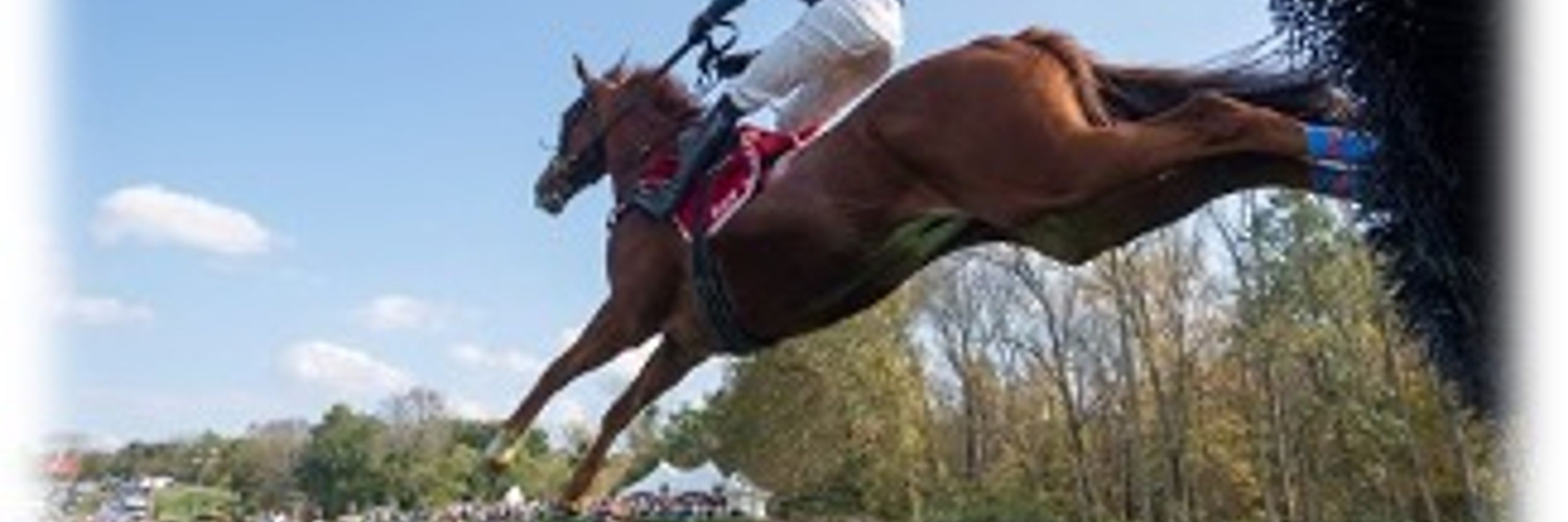 SimplyHorseTips