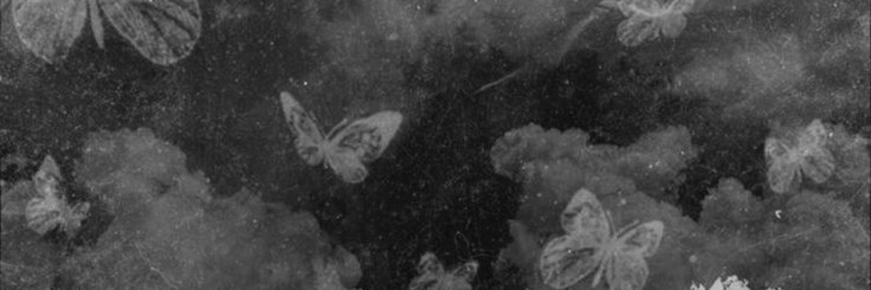 лиён ✧
