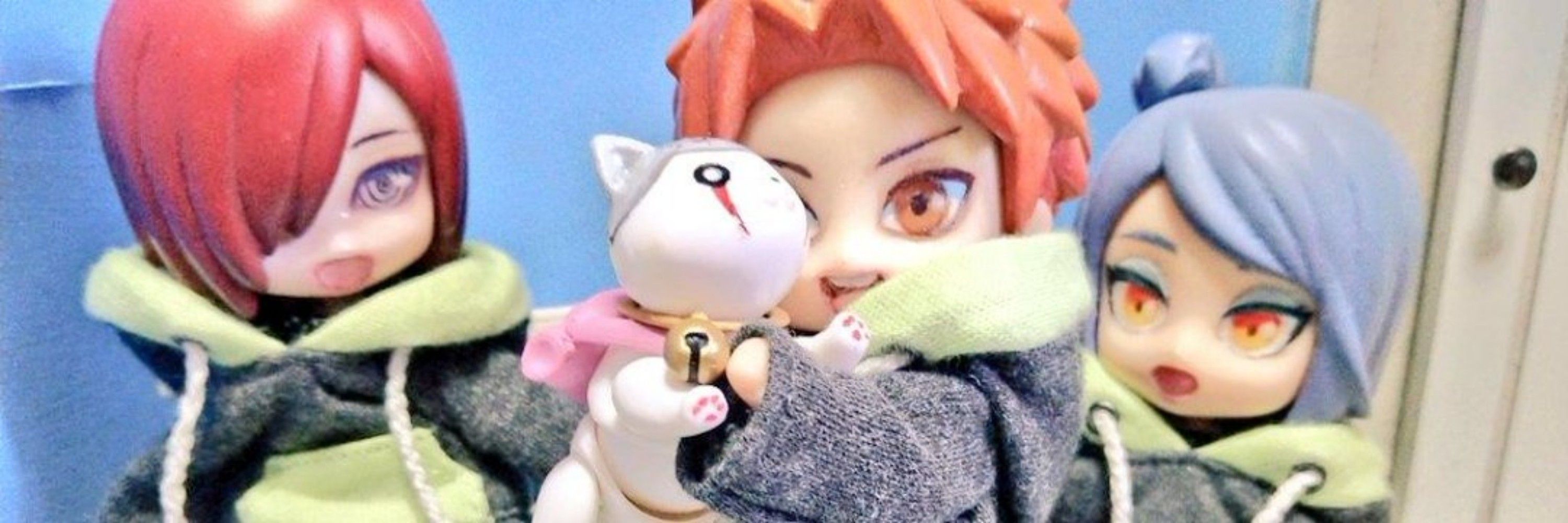 たぬき🦝