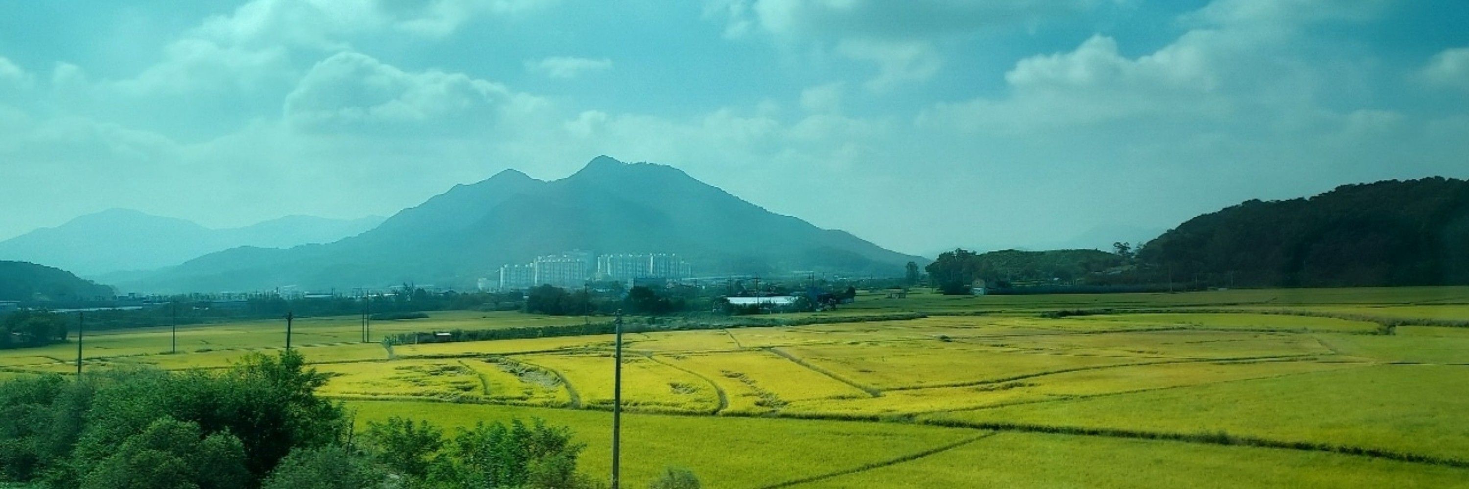 인생