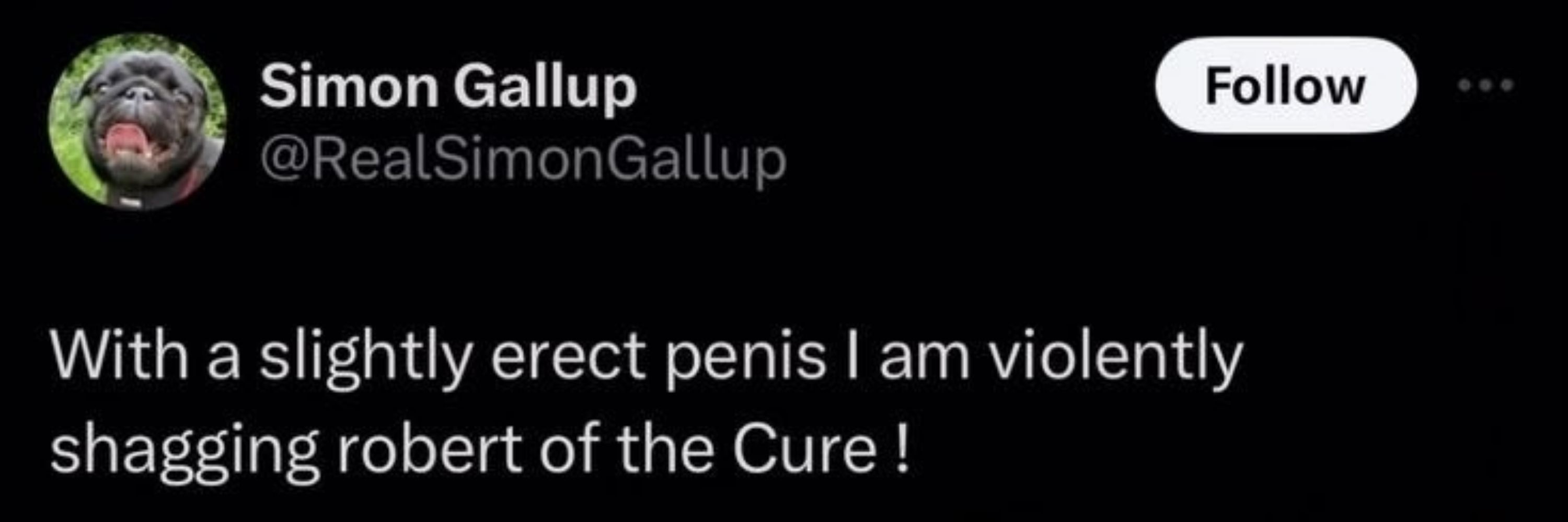 Yukke Gallup 