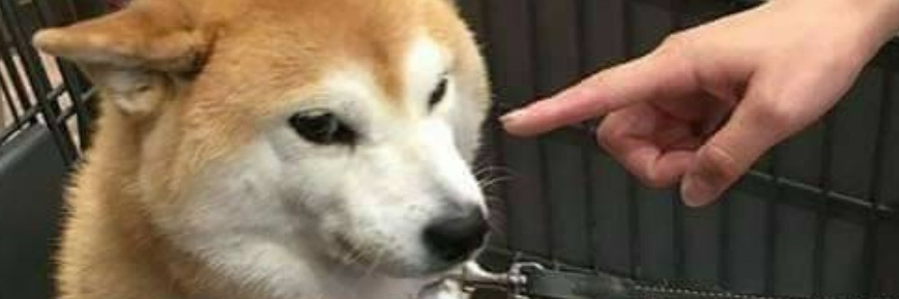 Arti