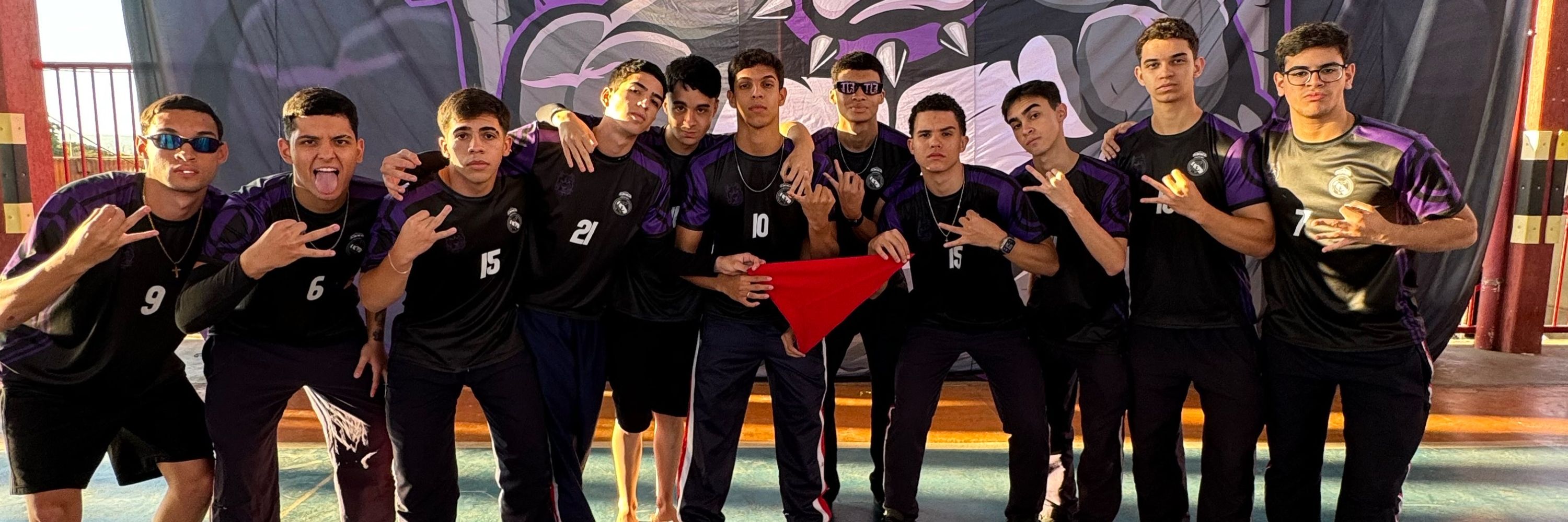 Falcão 