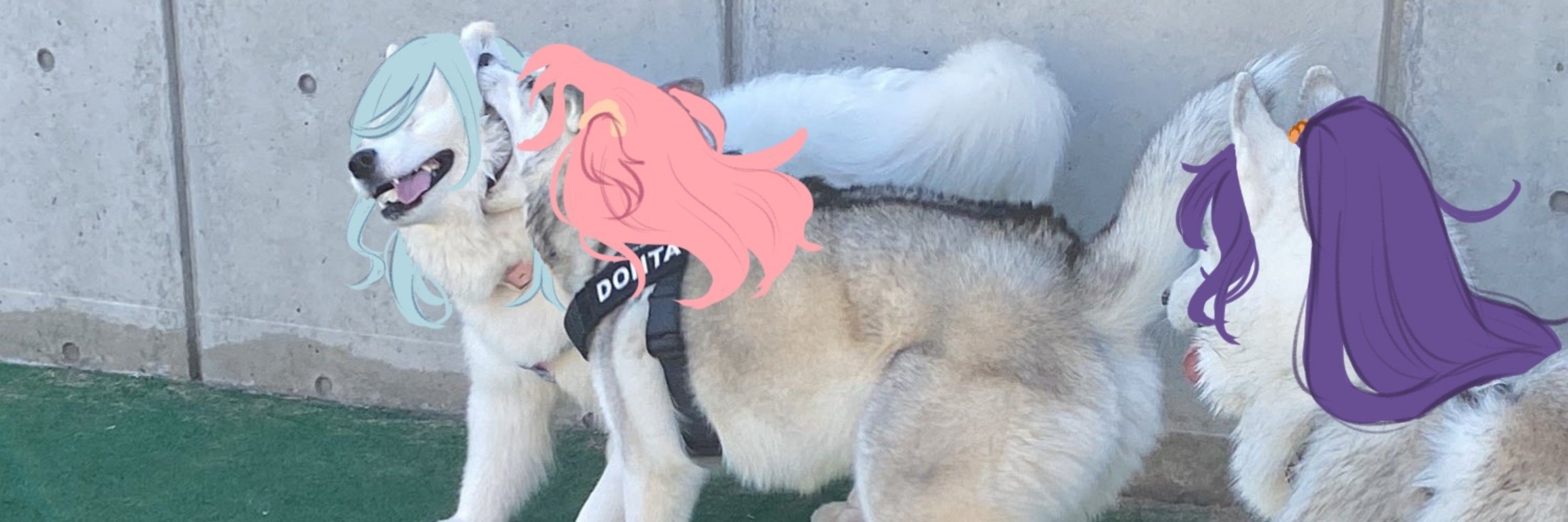 Urufu