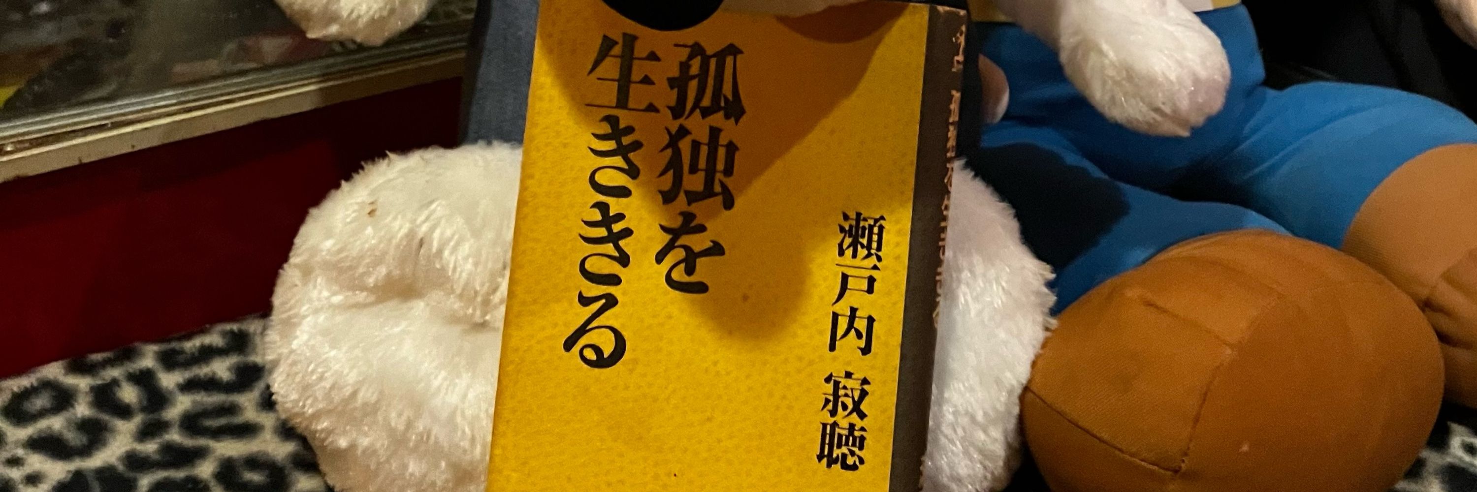 Sakura Cherry