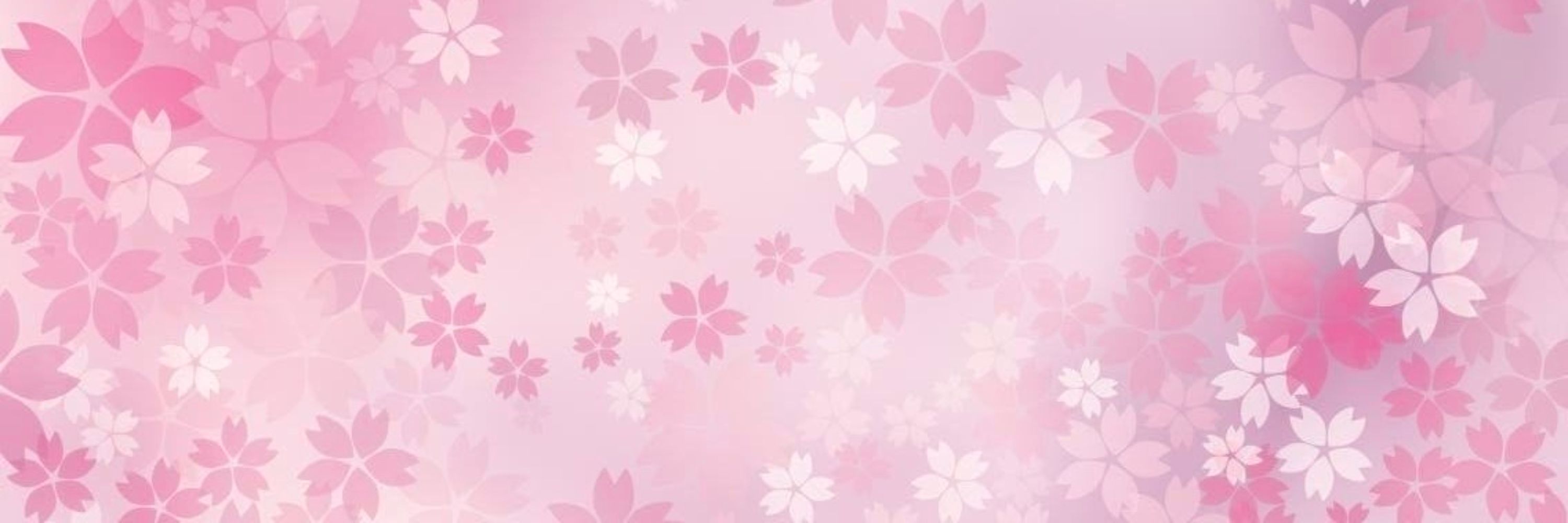 🎀🌸Starlight ☆ Sakura⭐🎀