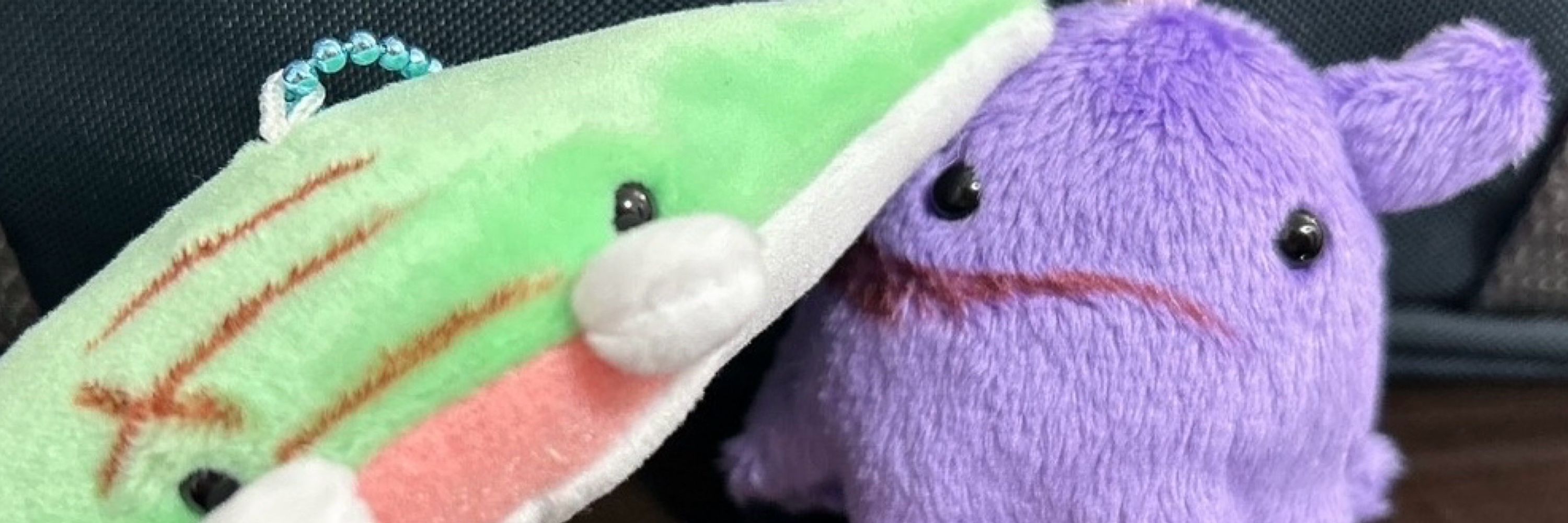 こっちのぱんつ