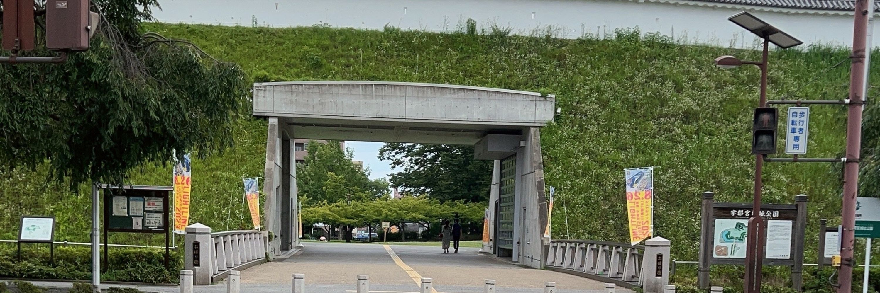 バルサミコ酢