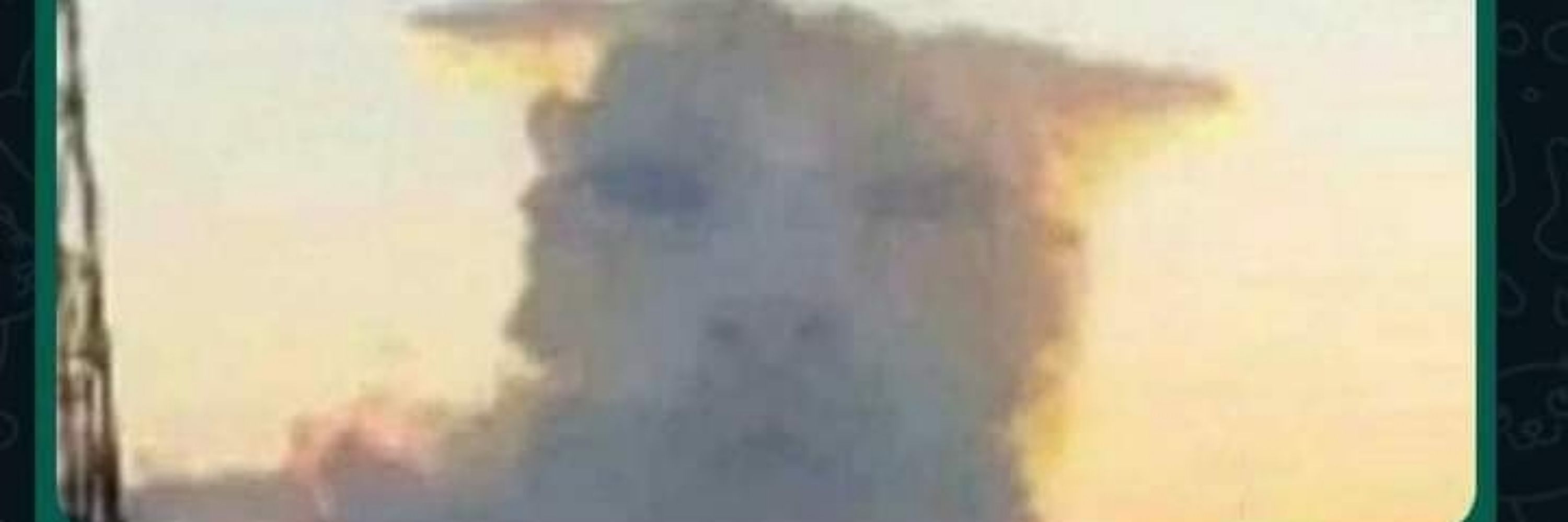 Abby D'Otter
