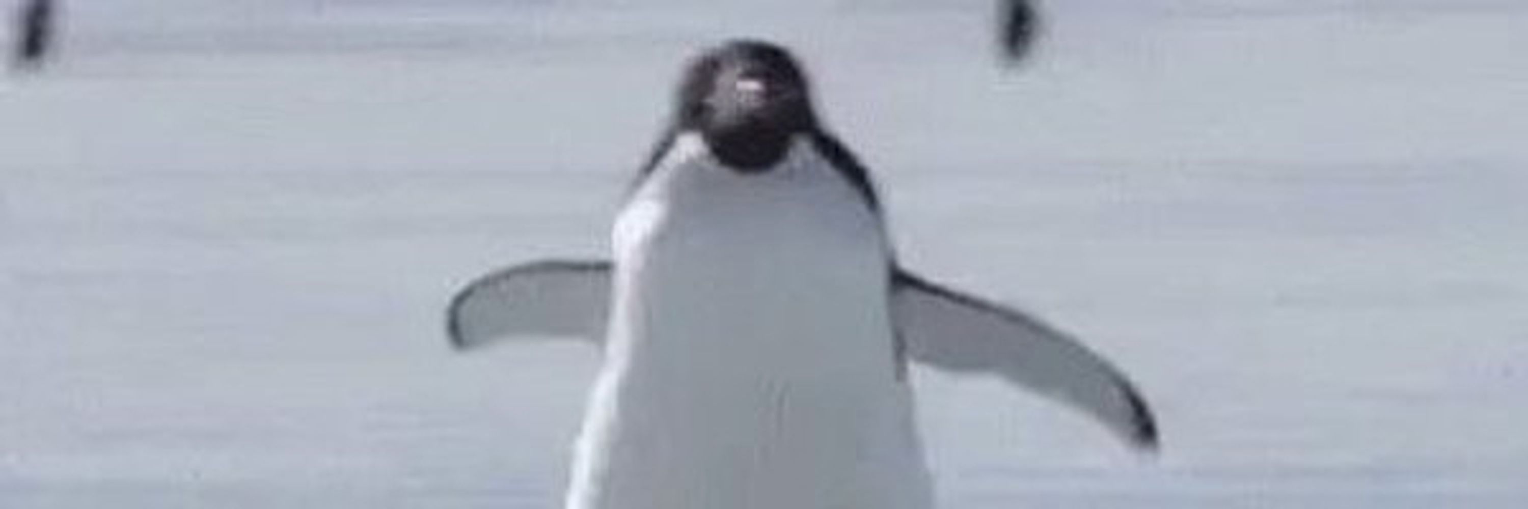 Async Matrix