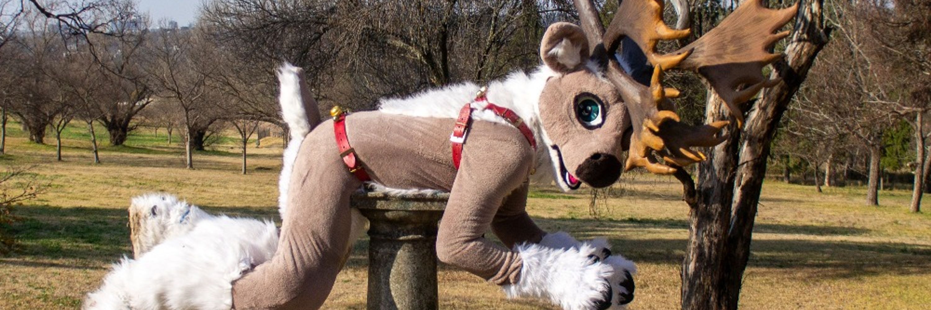 Basil Caribou