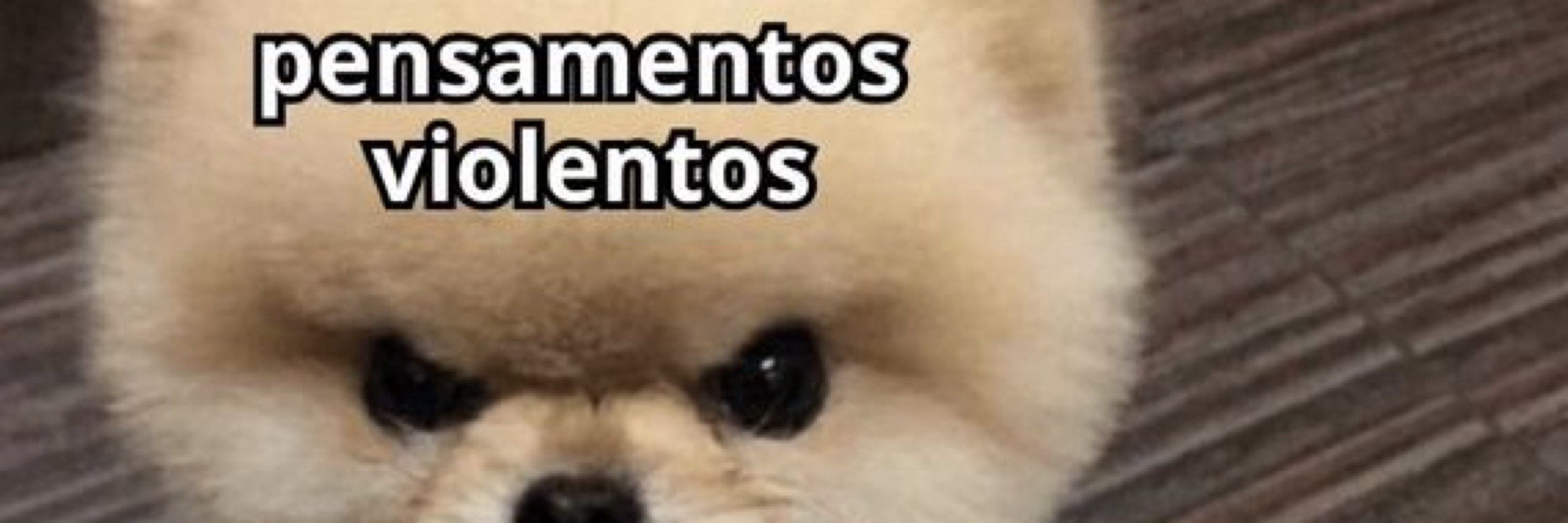 Zanne 