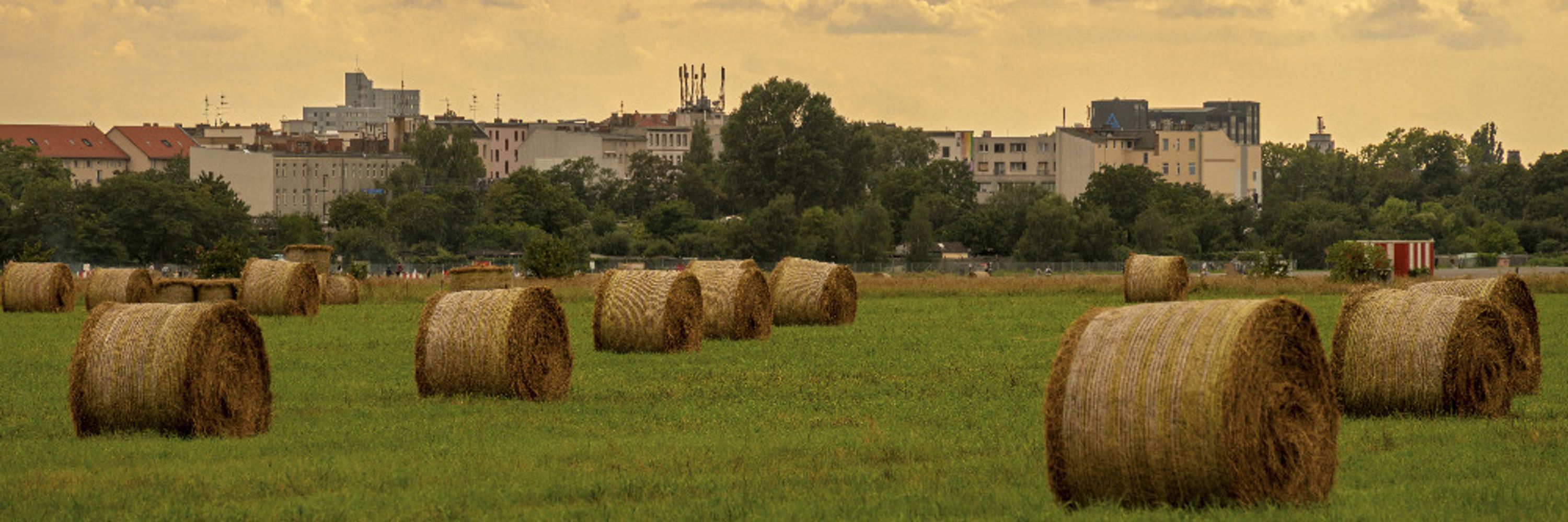 Profile banner