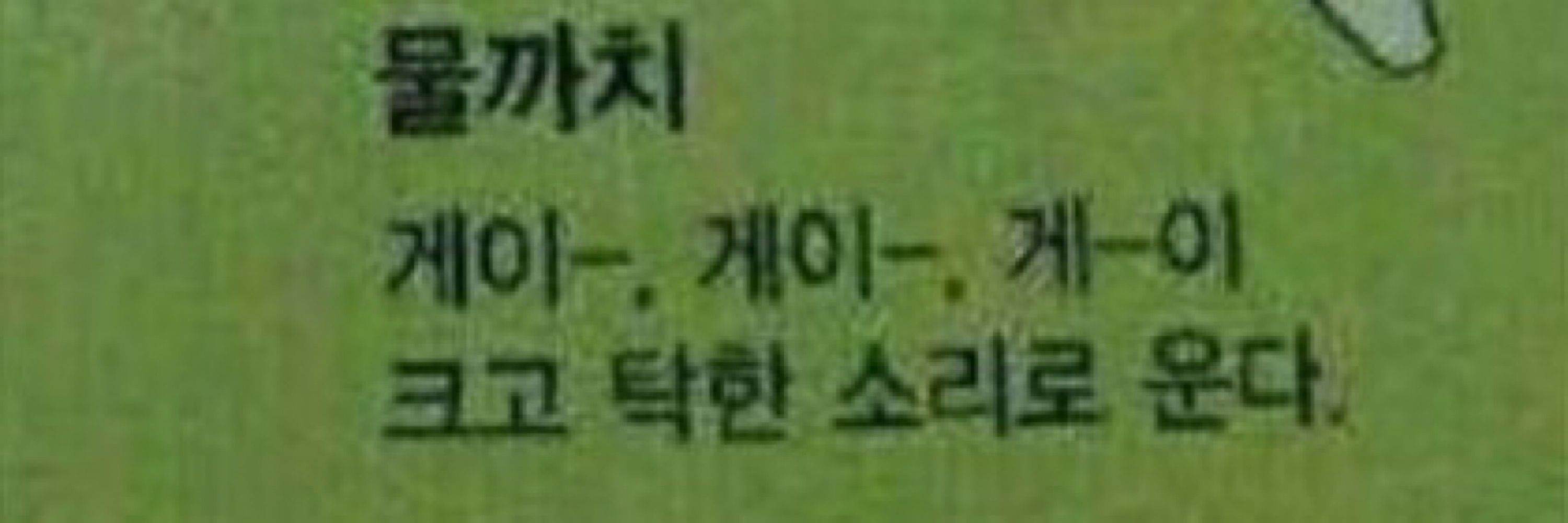 까치