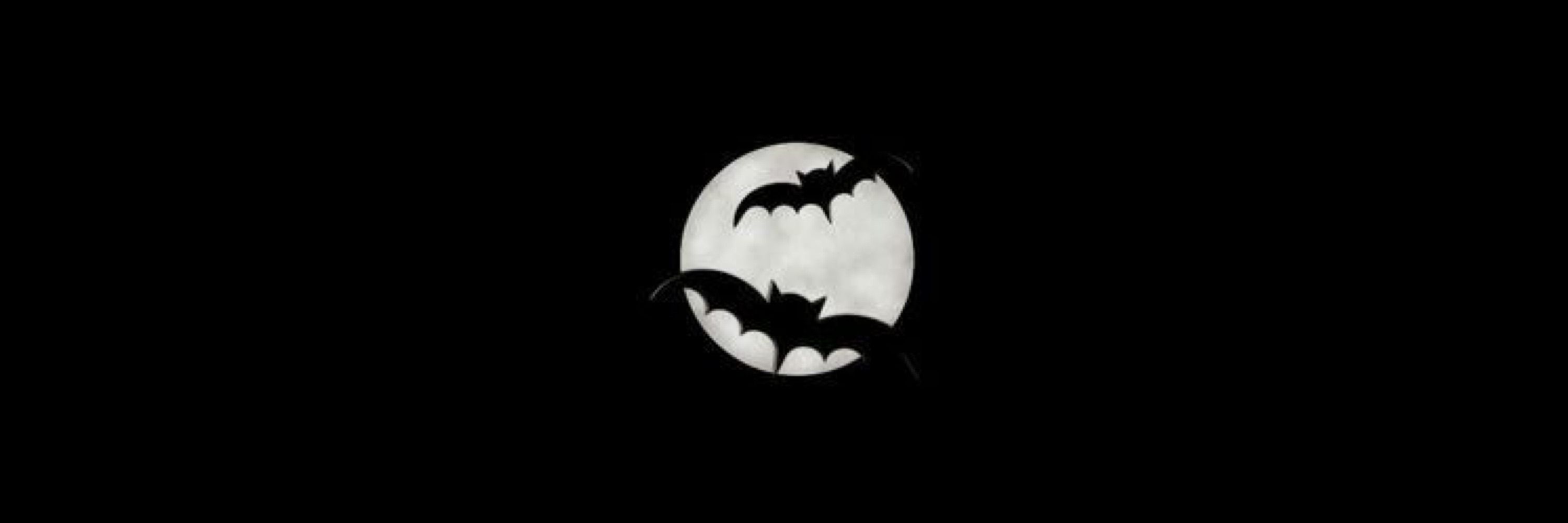 🦇 KING KURO.