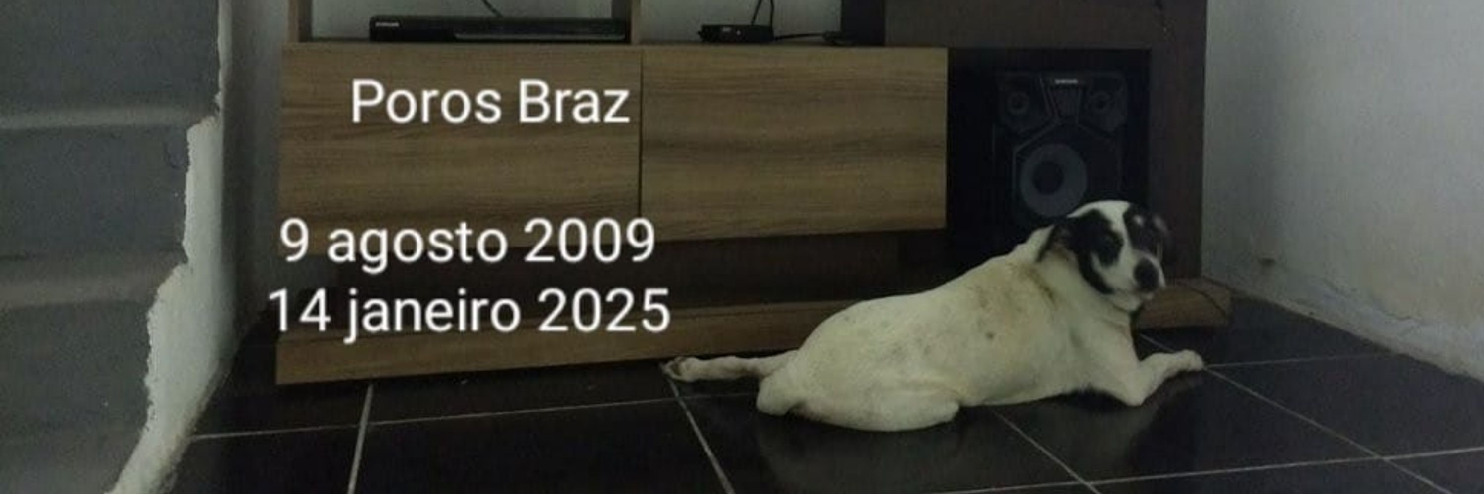 Tiago Barbosa