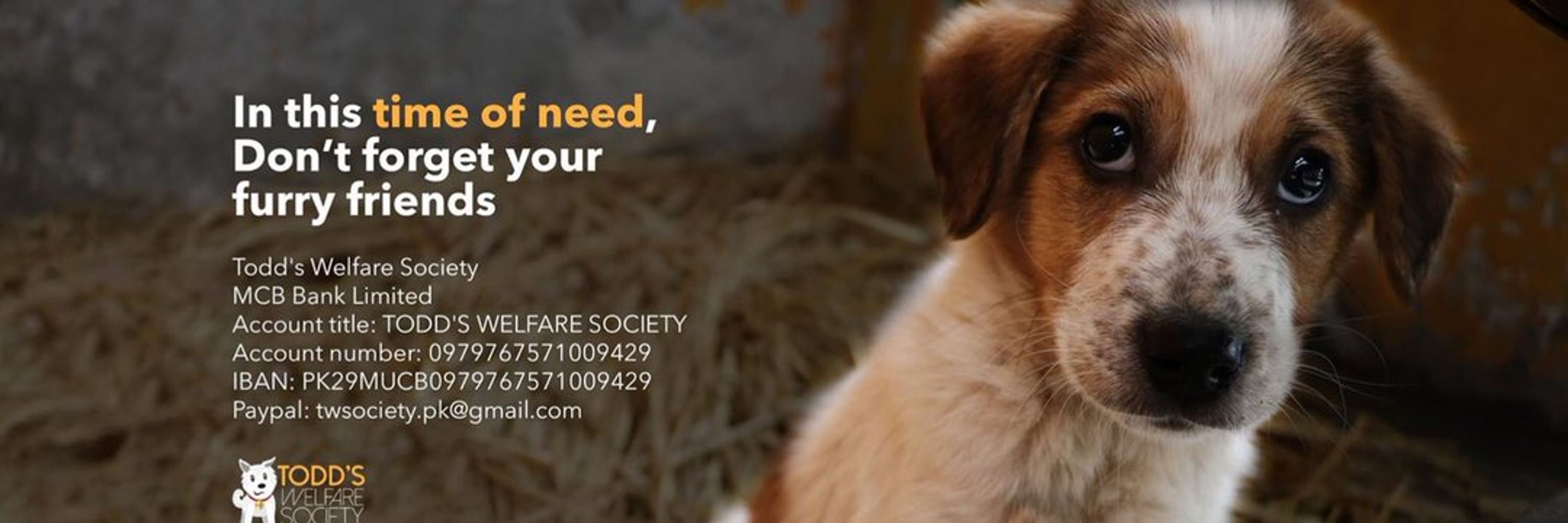 Todds Welfare Society
