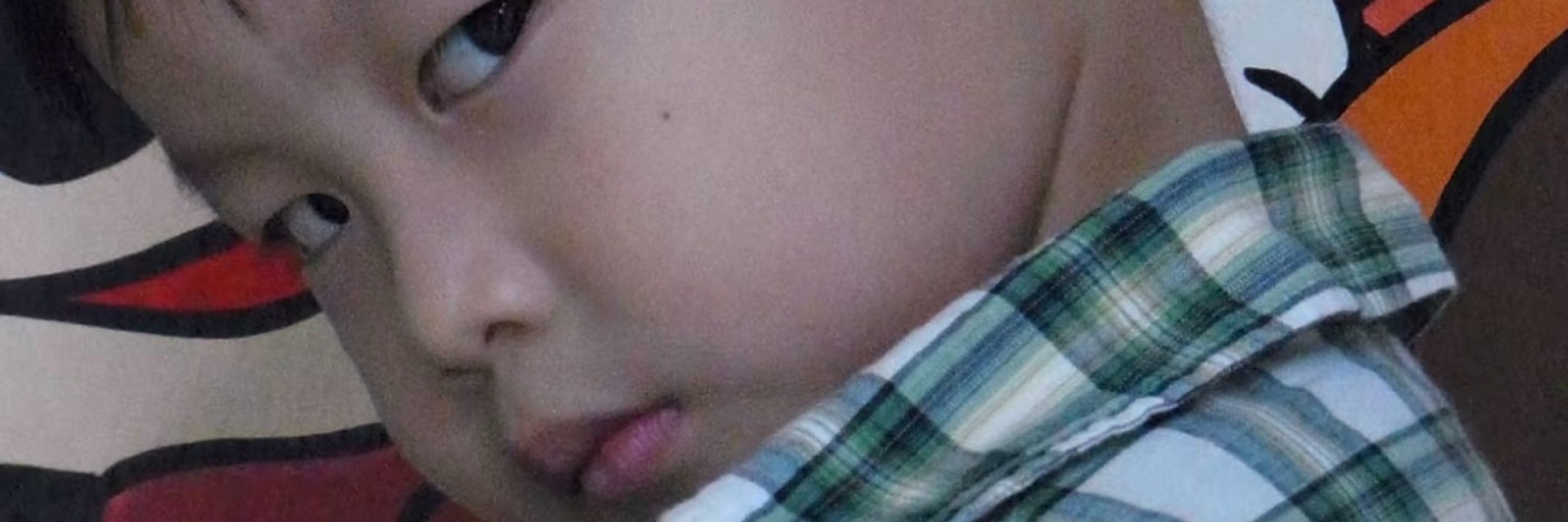 จั๋งที่แปลว่าต้นจั๋ง