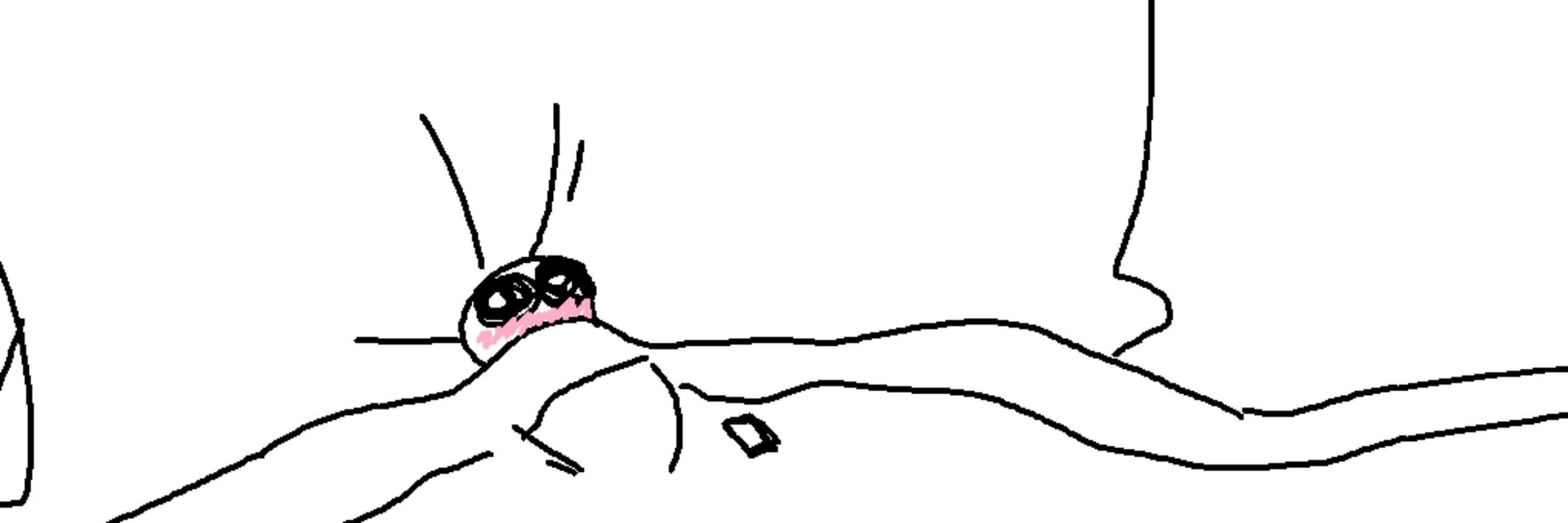 Noelchew ( °∇^)］